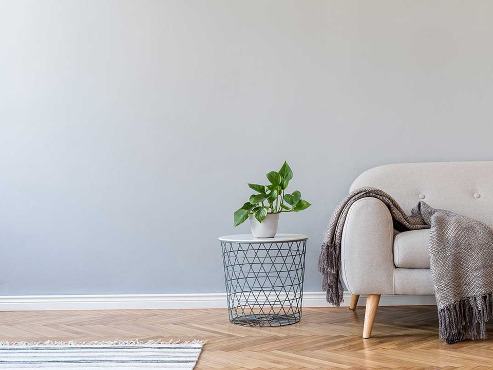 En stue med en grå sofa, brunt pledd og en grønn plante, til illustrasjon for tips før visning