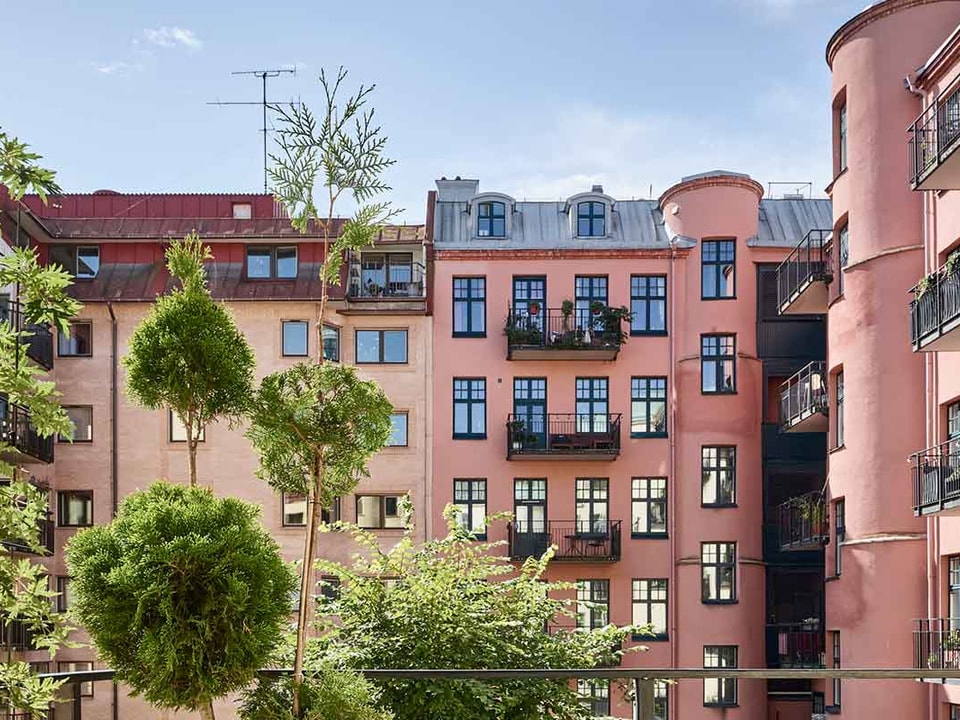 Bakgård i gammel bygård